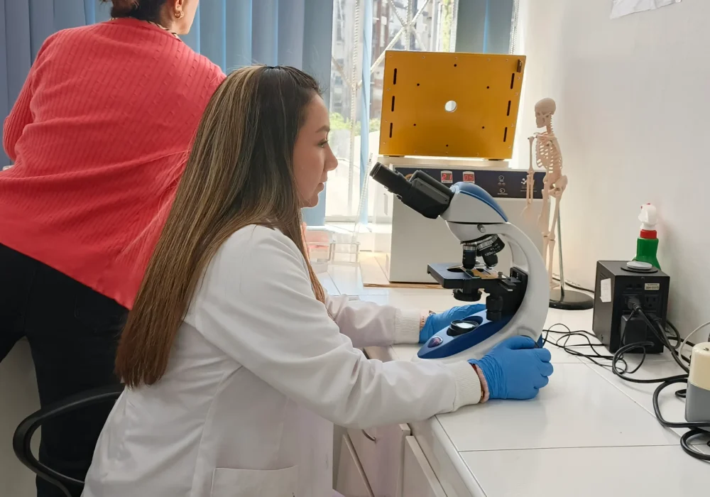 lab